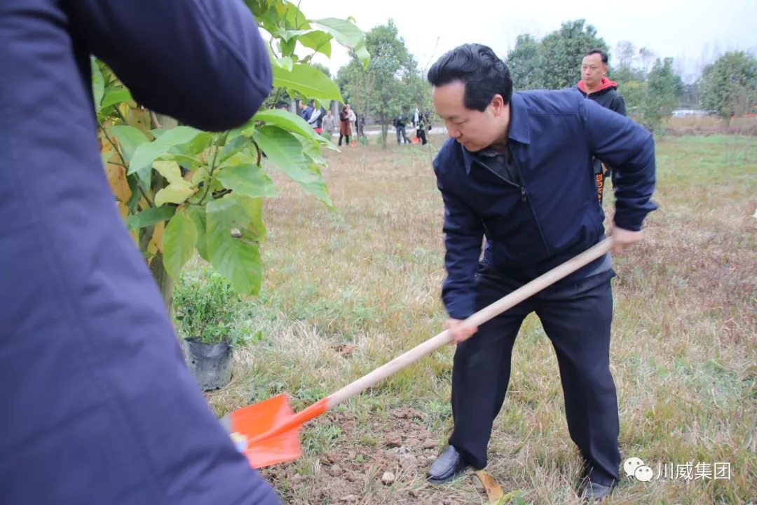 川威集團(tuán)舉辦2019年植樹節(jié)活動(dòng)(圖2)