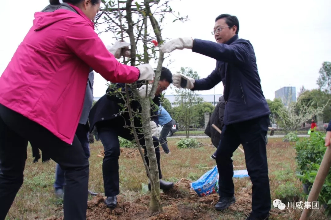 川威集團(tuán)舉辦2019年植樹節(jié)活動(dòng)(圖3)