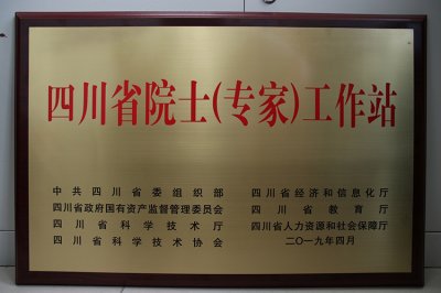 厲兵秣馬  筑“巢”引鳳——川威集團(tuán)榮獲“省級院士（專家）工作站”背后的