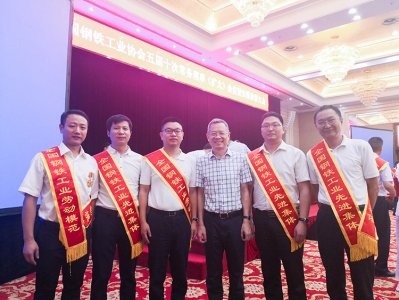 全國鋼鐵行業(yè)表彰先進(jìn)  釩鈦科技喜獲三項殊榮(圖6)