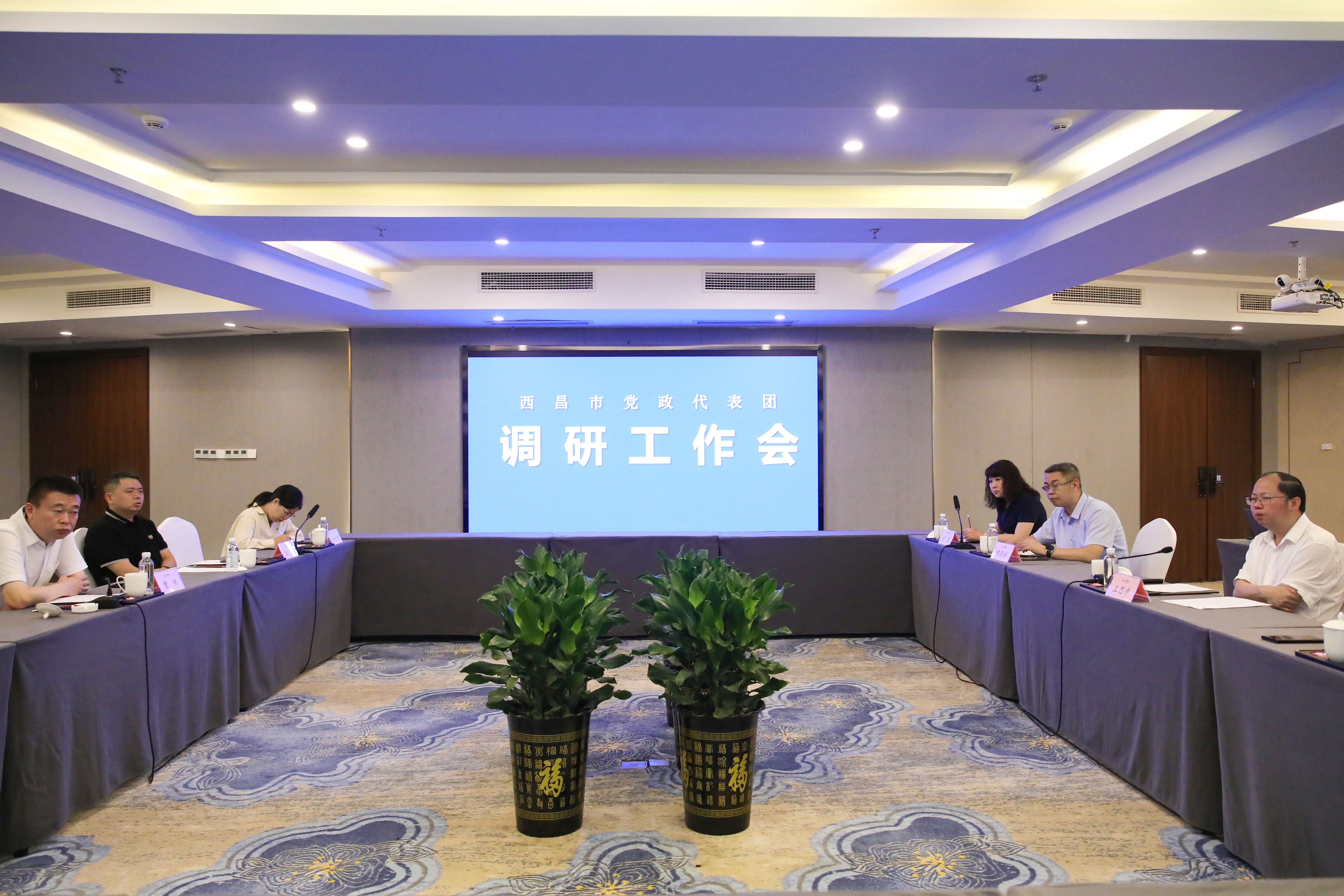 西昌市黨政代表團(tuán)一行來訪川威連界基地考察調(diào)研(圖5) 西昌市黨政代表團(tuán)一行來訪川威連界基地考察調(diào)研(圖5)