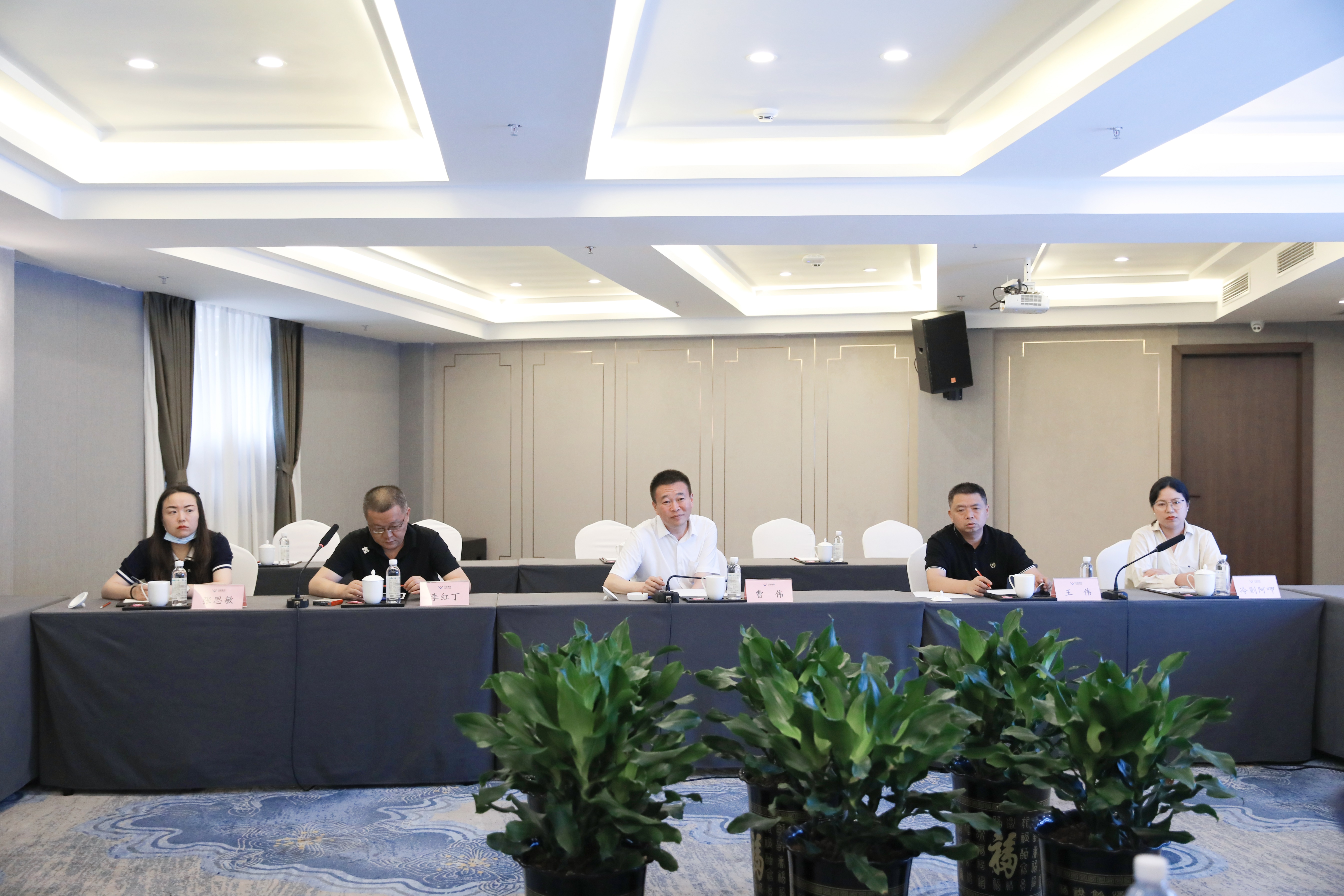 西昌市黨政代表團(tuán)一行來訪川威連界基地考察調(diào)研(圖8) 西昌市黨政代表團(tuán)一行來訪川威連界基地考察調(diào)研(圖8)