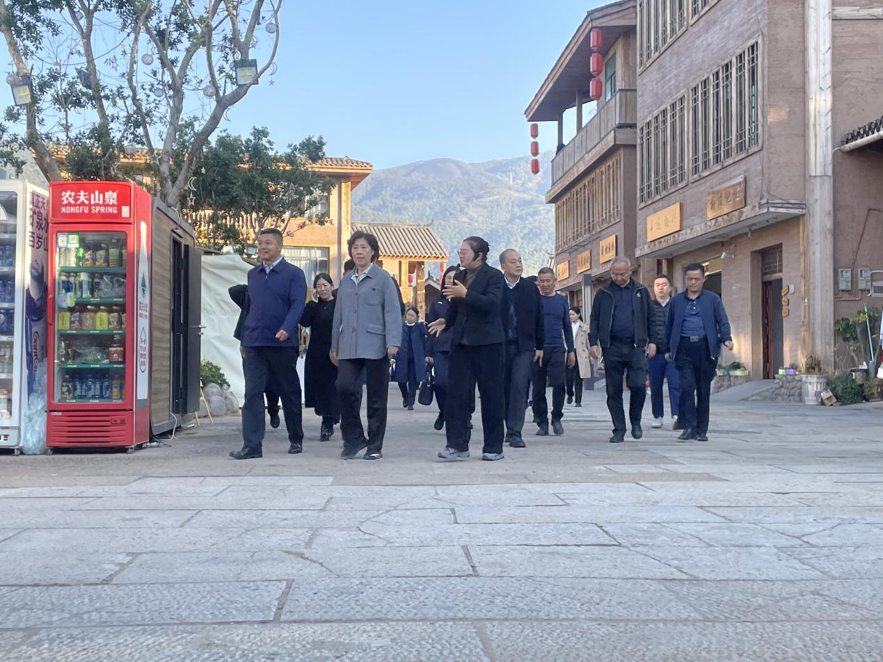 省政協(xié)主席田向利調研大石板鄉(xiāng)村振興項目