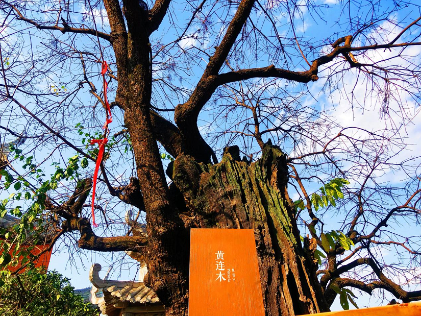 大石板古村：保護(hù)利用讓歷史文化“活”起來(lái) ——全省城鄉(xiāng)建設(shè)歷史文化保護(hù)利用工作現(xiàn)場(chǎng)會(huì)在西昌大石板古村召開(kāi)(圖3)