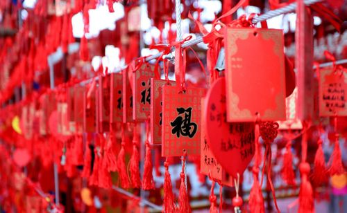 喜氣洋洋鬧新春 豐富活動(dòng)助你迎新年(圖4) 喜氣洋洋鬧新春 豐富活動(dòng)助你迎新年(圖4)