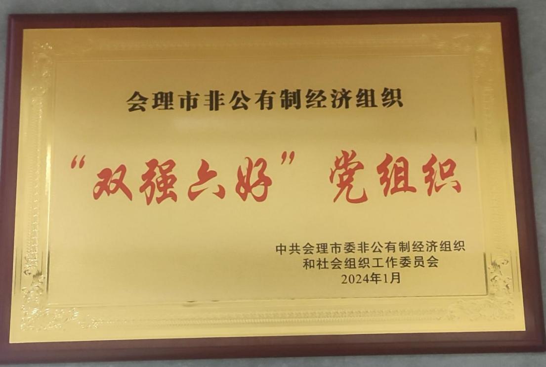 喜訊！礦業(yè)總公司財(cái)通公司黨支部榮獲會理市“雙強(qiáng)六好”黨組織稱號