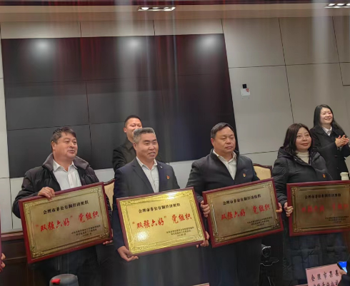 喜訊！礦業(yè)總公司財通公司黨支部榮獲會理市“雙強(qiáng)六好”黨組織稱號(圖2)
