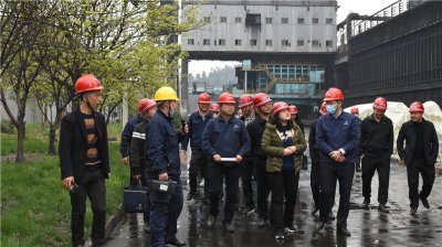 省統(tǒng)計局到川威集團博威能源調(diào)研