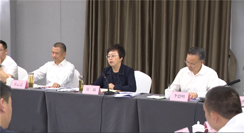 市委書記鄭莉蒞臨川威調研指導轉型發(fā)展工作(圖6)