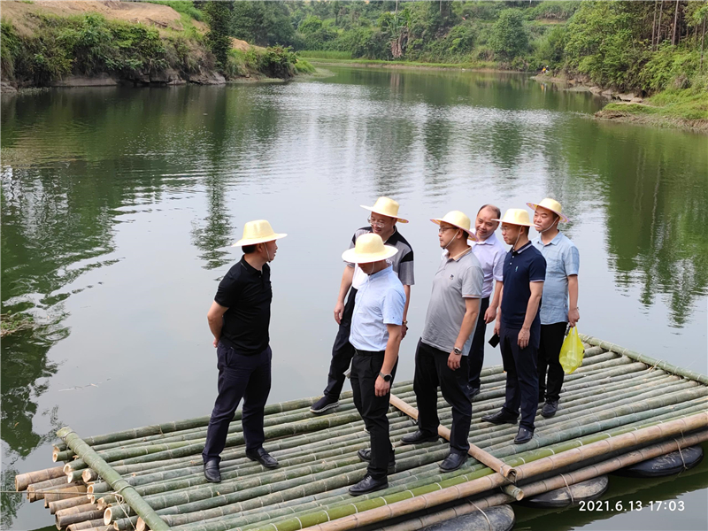 集團公司王勁董事長視察穹窿植物園建設(shè)現(xiàn)場(圖2)